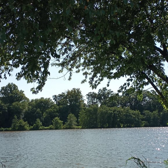 Meet your Posher, Rochelle - Picture 1 of 1